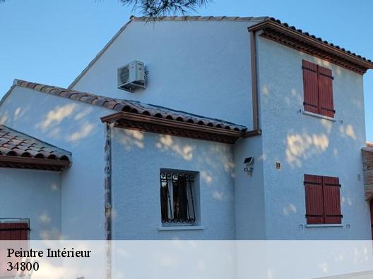 Peintre Intérieur 34800