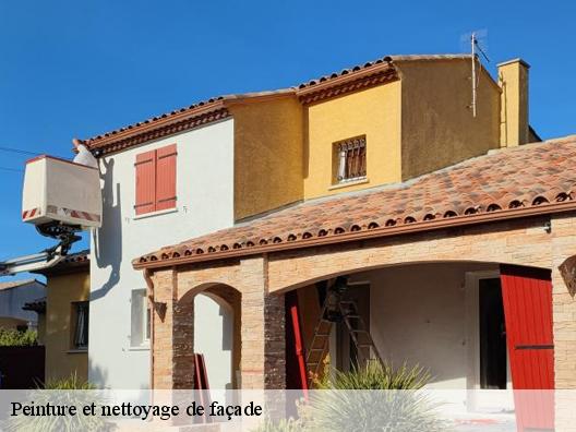 Peinture et nettoyage de façade
