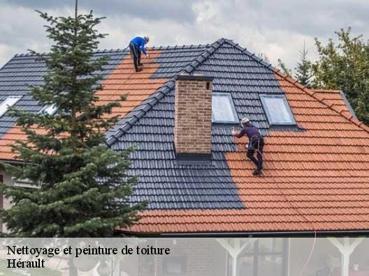 Nettoyage et peinture de toiture Hérault 