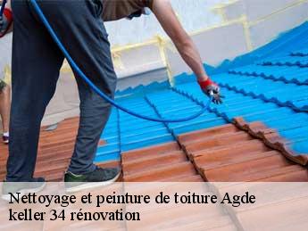 Nettoyage et peinture de toiture  agde-34300 keller 34 rénovation