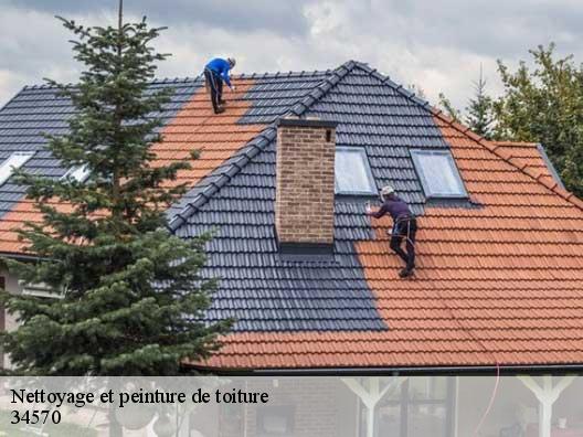 Nettoyage et peinture de toiture 34570