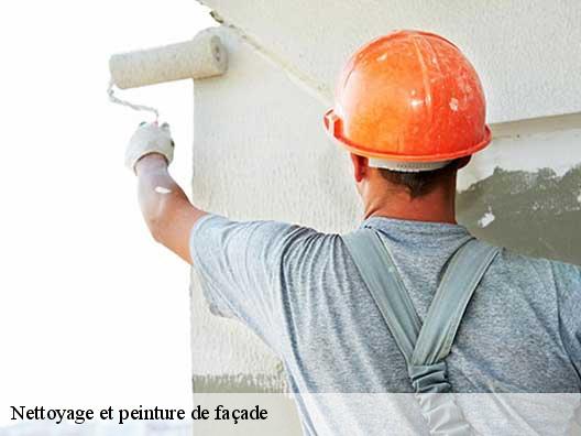 Nettoyage et peinture de façade